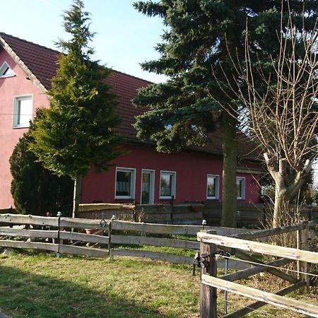 Ferienhaus Rothemuhle Villa Kottmar Ngoại thất bức ảnh